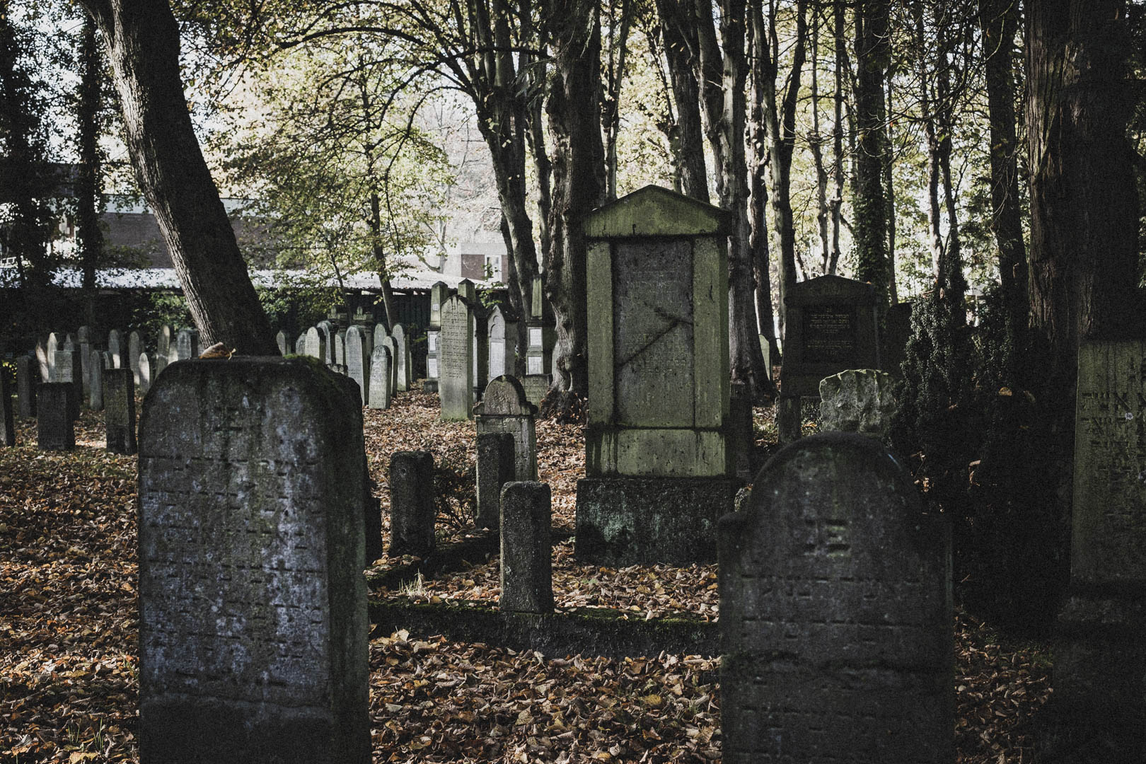 Norden (Ostfriesland), Jüdischer Friedhof